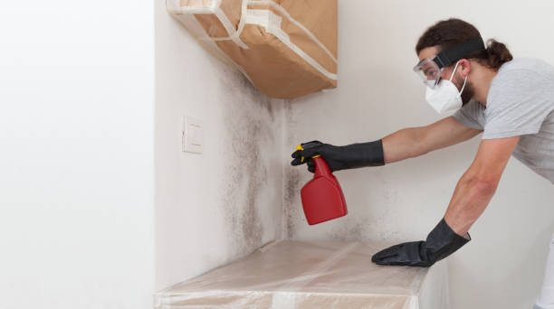 Professional Bathroom Mold Removal technician working in Walkersville, MD